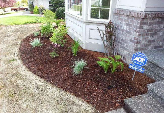 Mulch Installation example 3