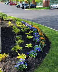 Tree & Shrub Planting example 7