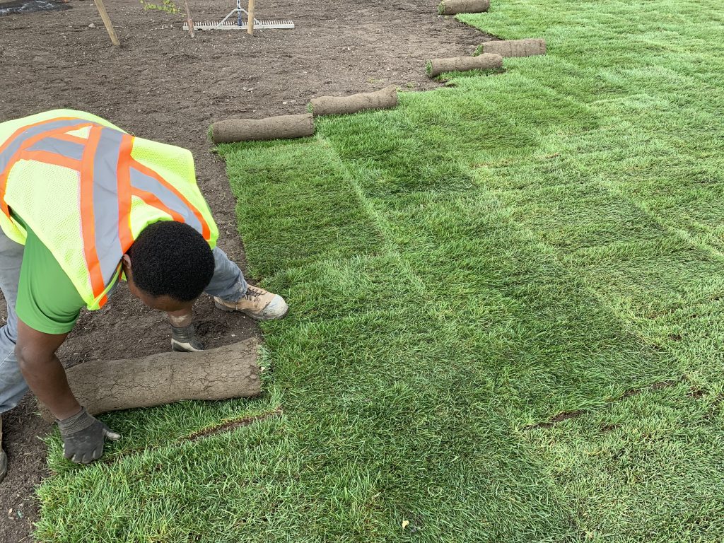 Sod Installation example 2